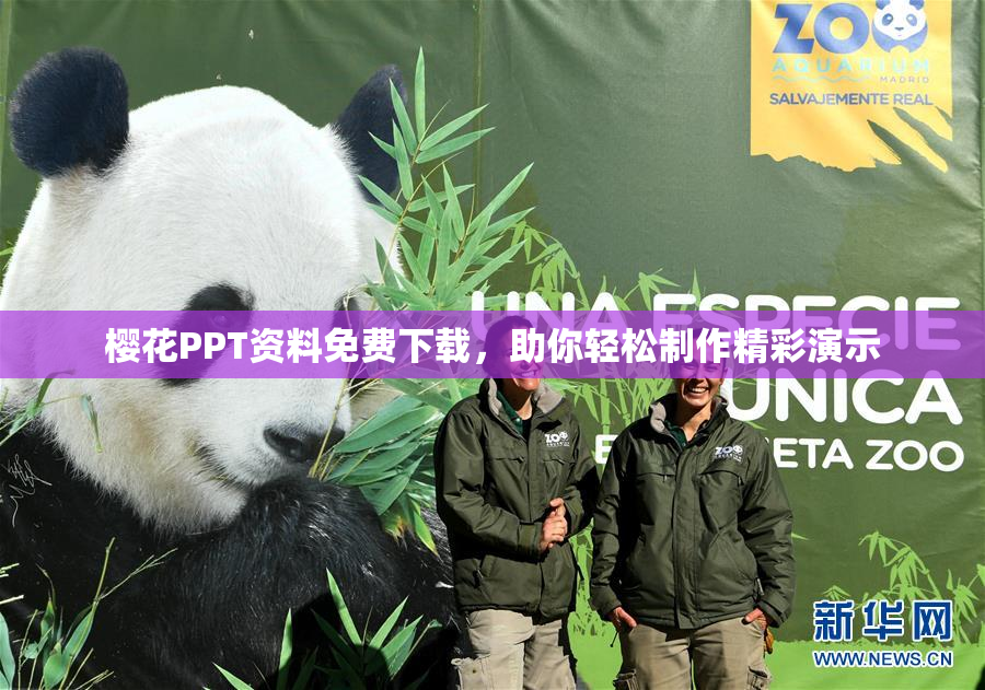樱花PPT资料免费下载，助你轻松制作精彩演示
