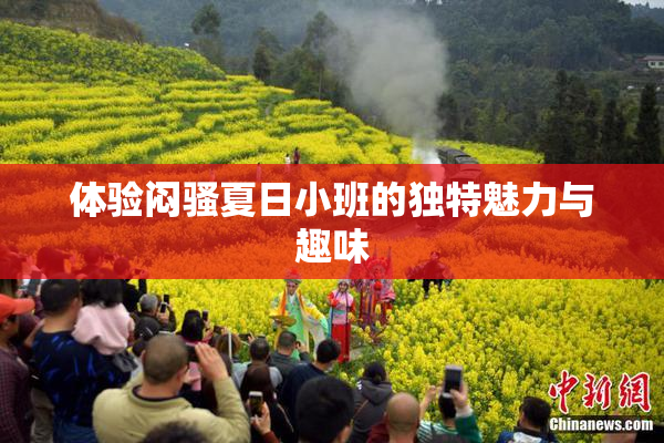 体验闷骚夏日小班的独特魅力与趣味
