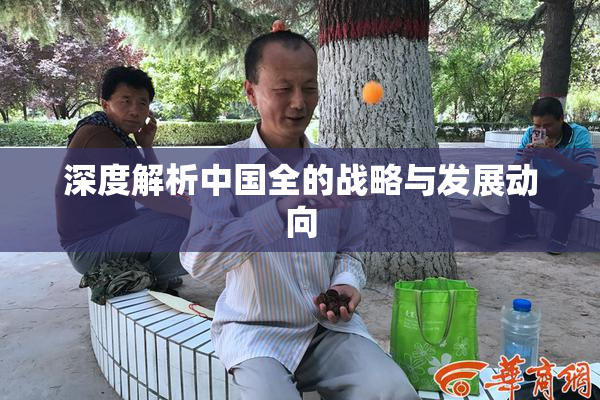 深度解析中国全的战略与发展动向