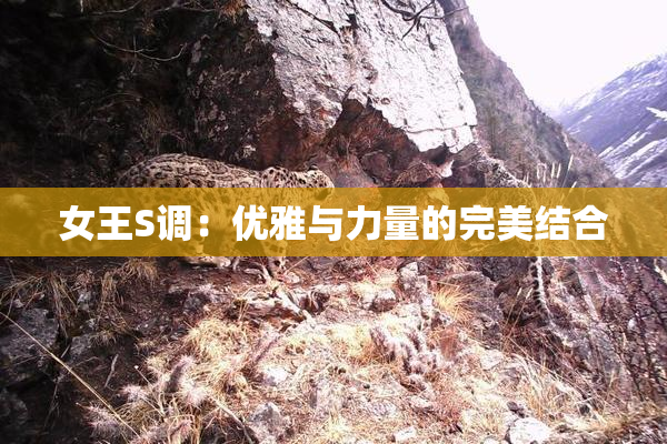女王S调：优雅与力量的完美结合