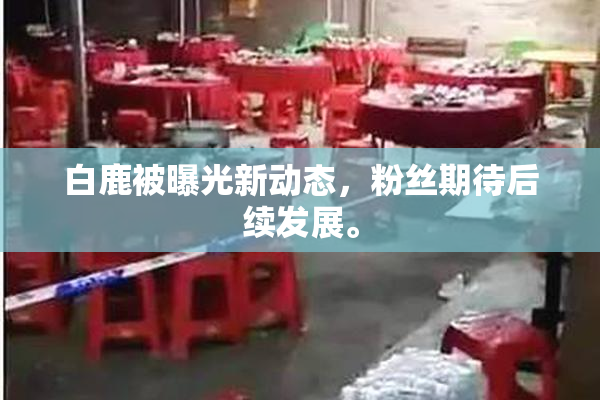 白鹿被曝光新动态，粉丝期待后续发展。