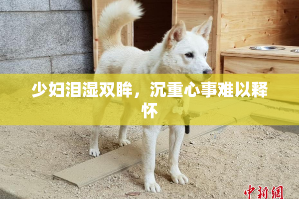 少妇泪湿双眸，沉重心事难以释怀