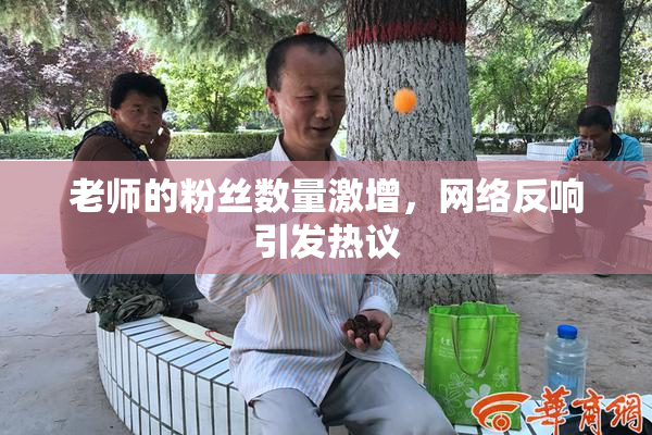 老师的粉丝数量激增，网络反响引发热议