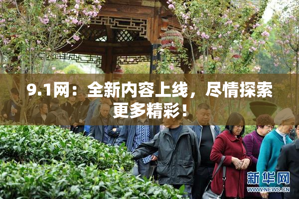 9.1网：全新内容上线，尽情探索更多精彩！