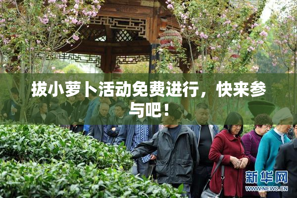 拔小萝卜活动免费进行，快来参与吧！