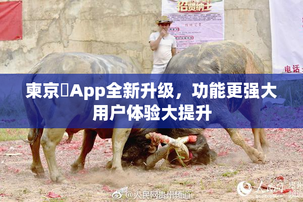 柬京埶App全新升级，功能更强大用户体验大提升