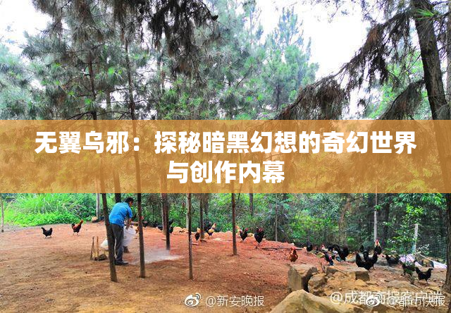 无翼乌邪：探秘暗黑幻想的奇幻世界与创作内幕