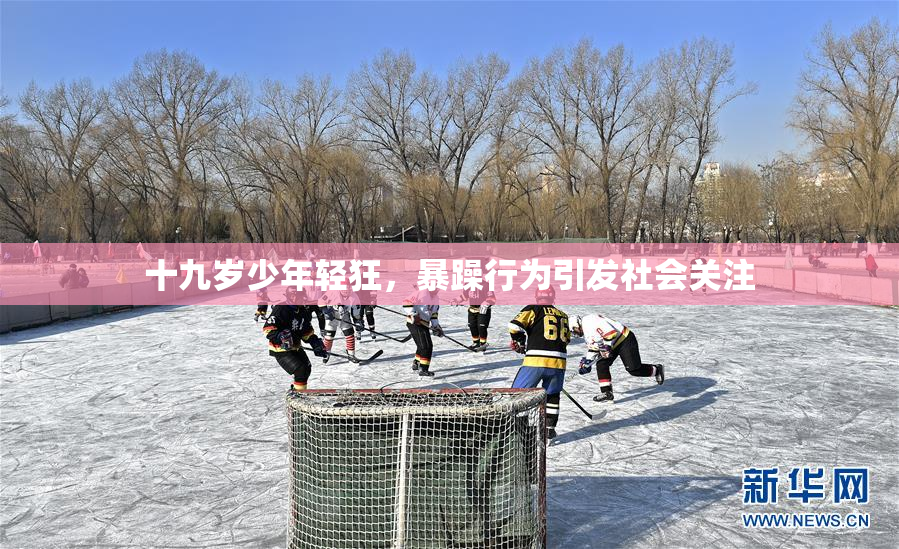 十九岁少年轻狂，暴躁行为引发社会关注