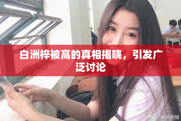 白洲梓被高的真相揭晓，引发广泛讨论