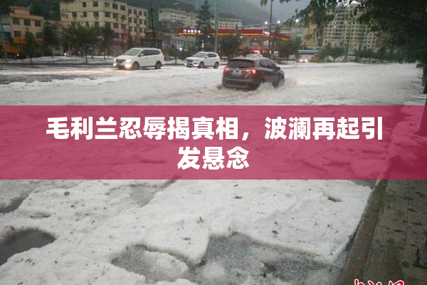 毛利兰忍辱揭真相，波澜再起引发悬念