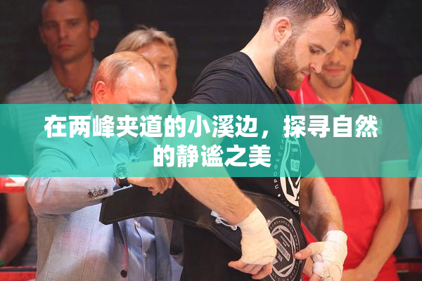 在两峰夹道的小溪边，探寻自然的静谧之美