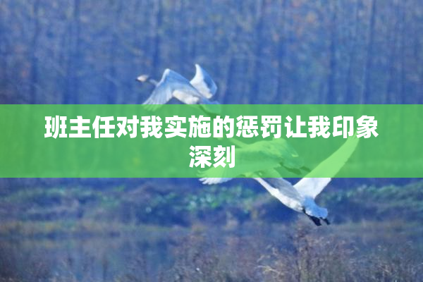 班主任对我实施的惩罚让我印象深刻