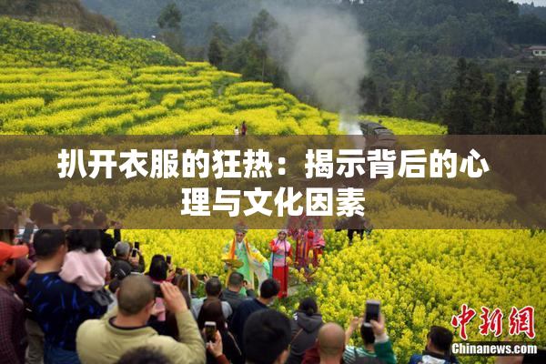 扒开衣服的狂热：揭示背后的心理与文化因素