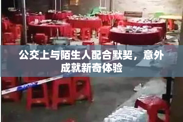 公交上与陌生人配合默契，意外成就新奇体验