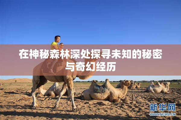 在神秘森林深处探寻未知的秘密与奇幻经历