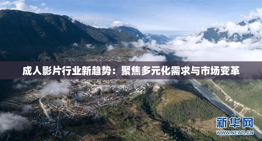 成人影片行业新趋势：聚焦多元化需求与市场变革