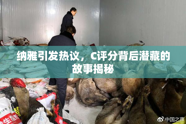 纳雅引发热议，C评分背后潜藏的故事揭秘