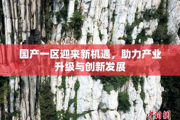 国产一区迎来新机遇，助力产业升级与创新发展