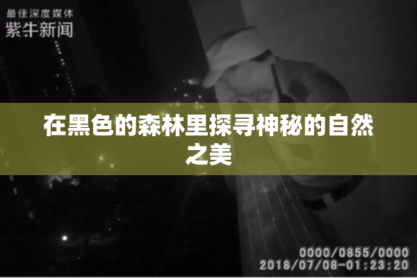 在黑色的森林里探寻神秘的自然之美