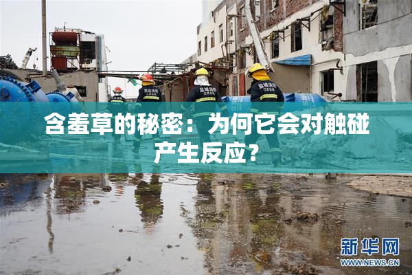 含羞草的秘密：为何它会对触碰产生反应？