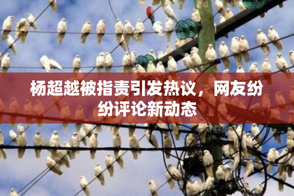 杨超越被指责引发热议，网友纷纷评论新动态