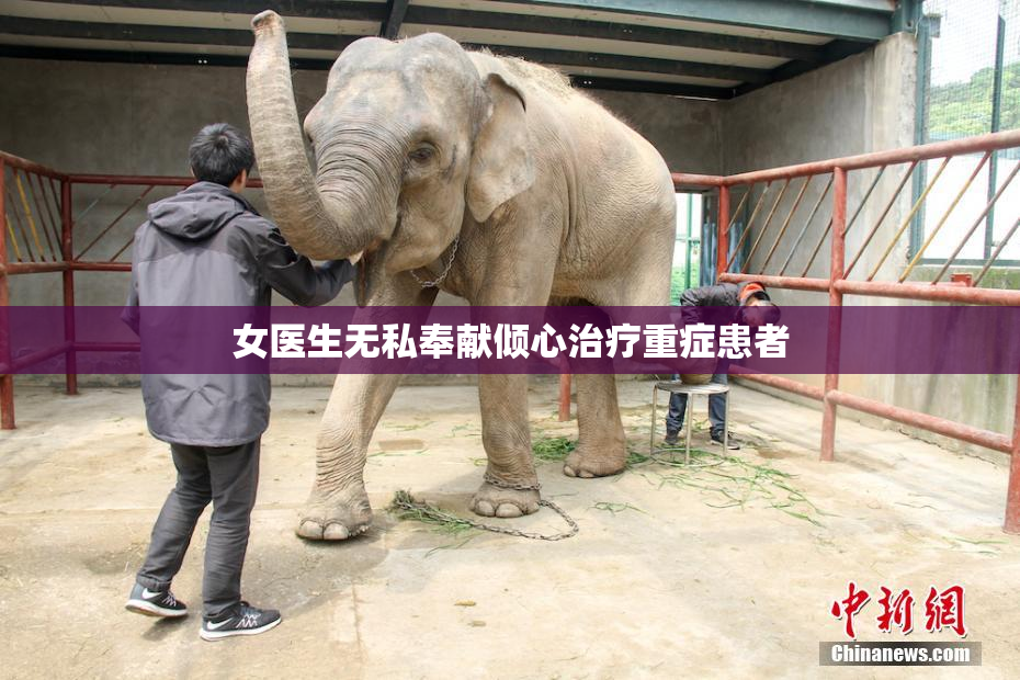 女医生无私奉献倾心治疗重症患者