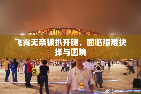 飞霄无奈被扒开腿，面临艰难抉择与困境
