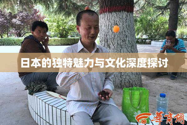 日本的独特魅力与文化深度探讨
