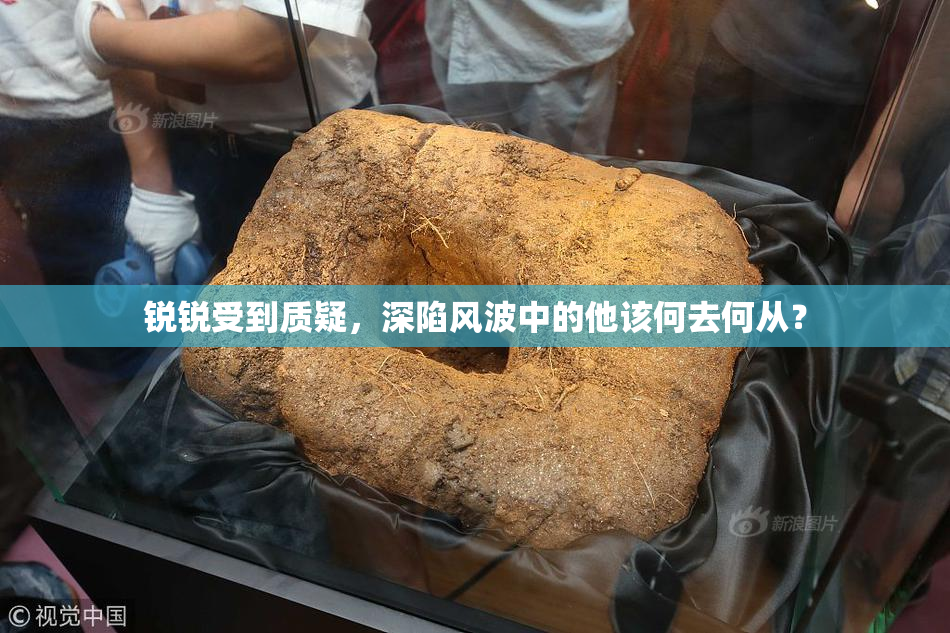 锐锐受到质疑，深陷风波中的他该何去何从？