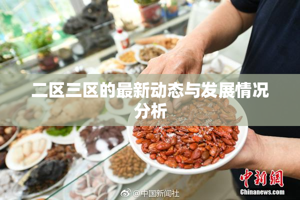 二区三区的最新动态与发展情况分析