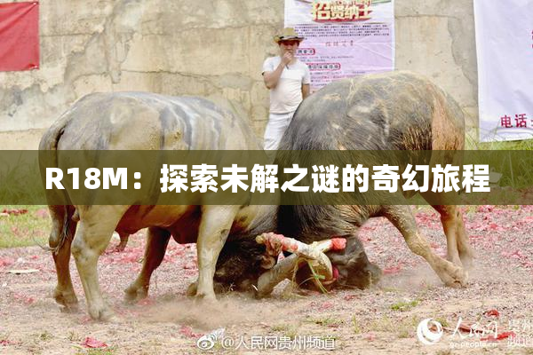 R18M：探索未解之谜的奇幻旅程