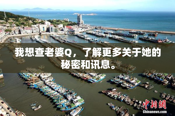 我想查老婆Q，了解更多关于她的秘密和讯息。