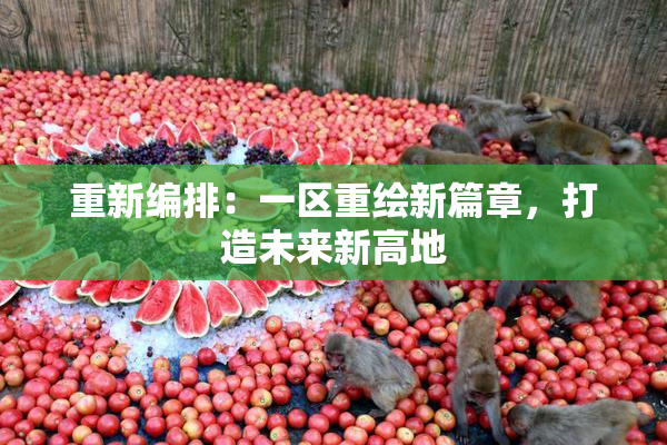 重新编排：一区重绘新篇章，打造未来新高地