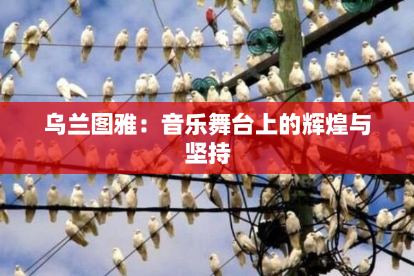 乌兰图雅：音乐舞台上的辉煌与坚持