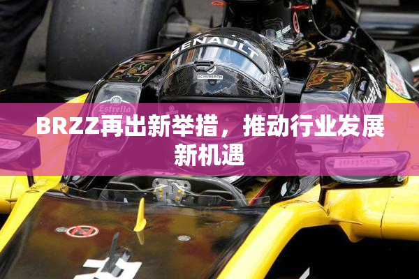 BRZZ再出新举措，推动行业发展新机遇
