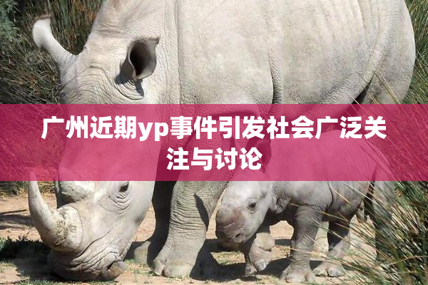 广州近期yp事件引发社会广泛关注与讨论