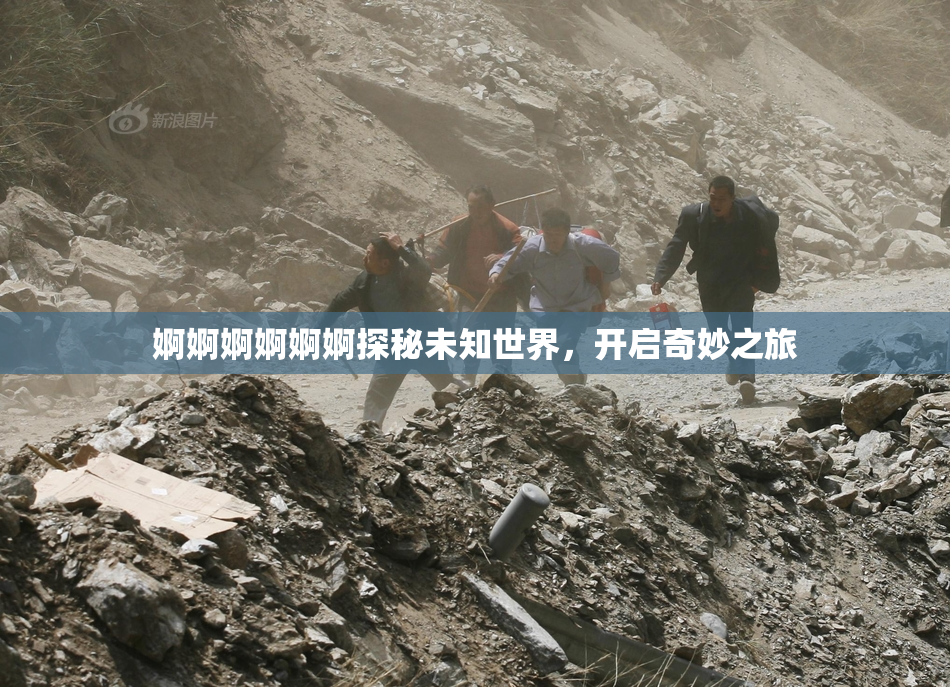 婀婀婀婀婀婀探秘未知世界，开启奇妙之旅