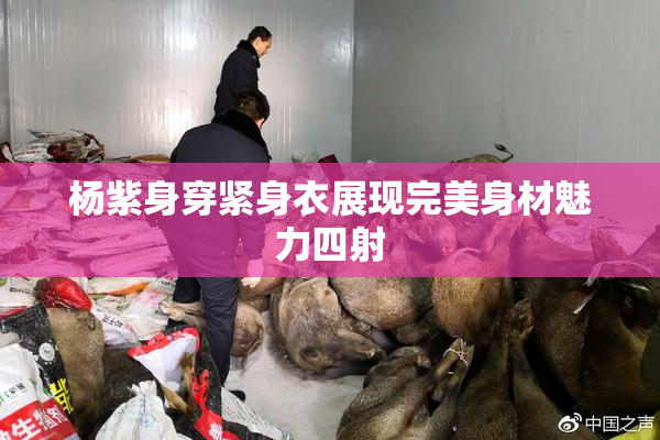 杨紫身穿紧身衣展现完美身材魅力四射