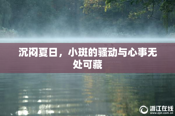 沉闷夏日，小斑的骚动与心事无处可藏