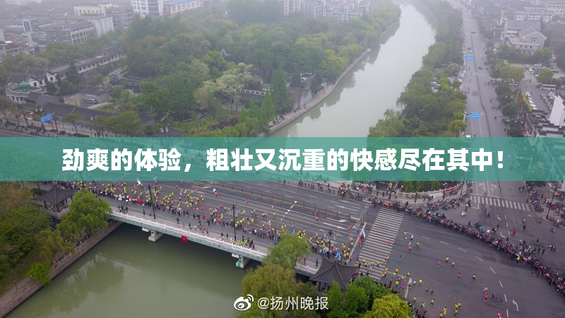 劲爽的体验，粗壮又沉重的快感尽在其中！