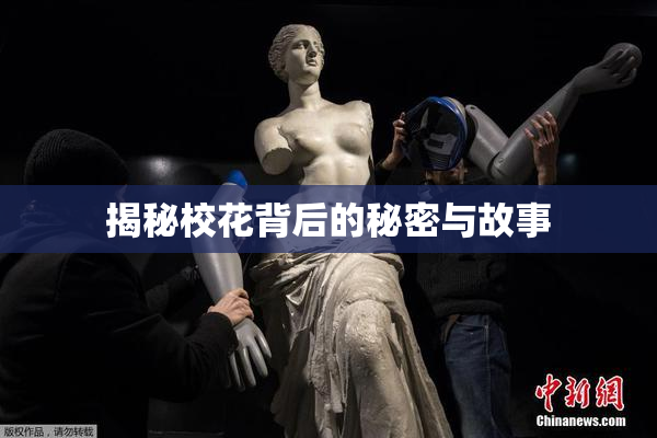 揭秘校花背后的秘密与故事