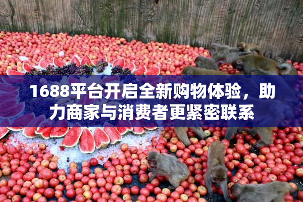 1688平台开启全新购物体验，助力商家与消费者更紧密联系