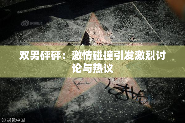双男砰砰：激情碰撞引发激烈讨论与热议