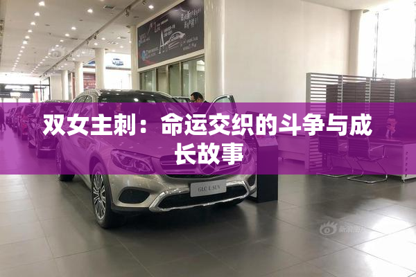 双女主刺：命运交织的斗争与成长故事