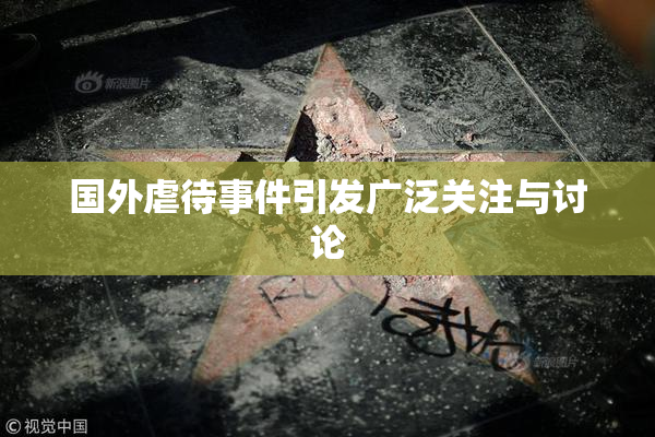 国外虐待事件引发广泛关注与讨论