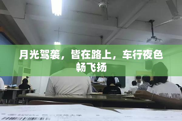 月光驾袭，皆在路上，车行夜色畅飞扬