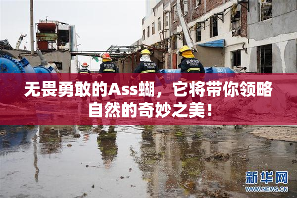 无畏勇敢的Ass蝴，它将带你领略自然的奇妙之美！