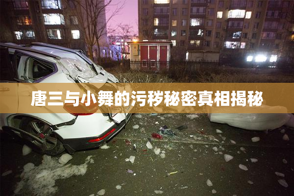 唐三与小舞的污秽秘密真相揭秘