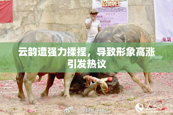 云韵遭强力揉捏，导致形象高涨引发热议