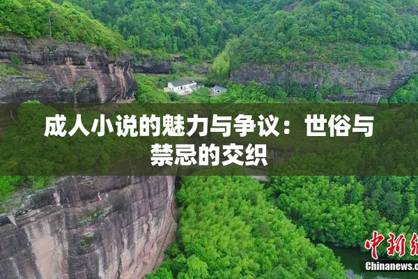 成人小说的魅力与争议：世俗与禁忌的交织